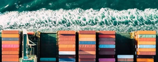 Microsoft Dynamics 365 Finance and Supply Chain Operations read only roles 